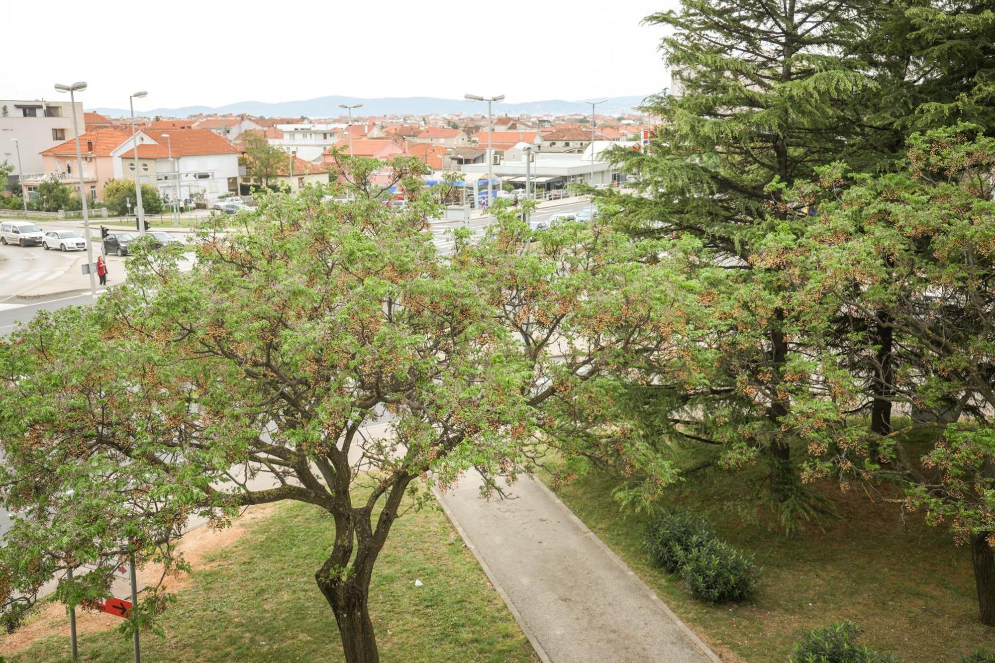 Bulevar Zadar